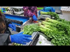 Máquina de embalagem de biscoitos de almofada