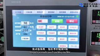 Máquina de embalagem rápida de bolsas para líquidos WG250