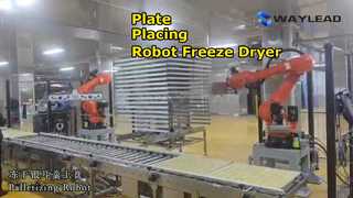 Placa automática que coloca a máquina de empacotamento do secador de gelo do robô