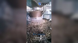 Empacotador mínimo de bolsas de 70 sacos, rápido e confiável