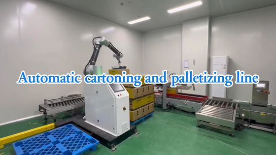 WG300 Solução de linha de embalagem automática de alimentos SUS304