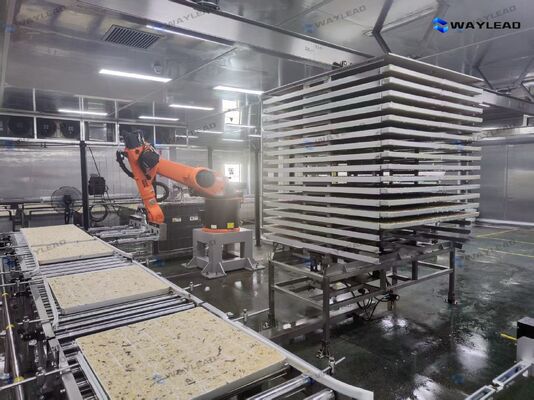 Robô automático de colocação de placas de alta eficiência personalizado para linhas de produção de liofilização